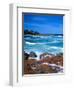 Beach, California, USA-John Alves-Framed Photographic Print