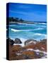 Beach, California, USA-John Alves-Stretched Canvas