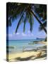 Beach, Cap Malheureux, Mauritius-G Richardson-Stretched Canvas