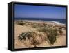 Beach, Cape Trafalgar, Andalucia, Spain-Jean Brooks-Framed Stretched Canvas