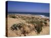 Beach, Cape Trafalgar, Andalucia, Spain-Jean Brooks-Stretched Canvas