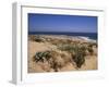 Beach, Cape Trafalgar, Andalucia, Spain-Jean Brooks-Framed Photographic Print