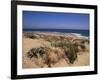 Beach, Cape Trafalgar, Andalucia, Spain-Jean Brooks-Framed Photographic Print