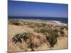 Beach, Cape Trafalgar, Andalucia, Spain-Jean Brooks-Mounted Photographic Print