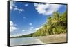 Beach, Cape Tribulation, Daintree National Park, Queensland, Australia-Peter Adams-Framed Stretched Canvas