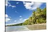 Beach, Cape Tribulation, Daintree National Park, Queensland, Australia-Peter Adams-Stretched Canvas