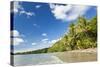 Beach, Cape Tribulation, Daintree National Park, Queensland, Australia-Peter Adams-Stretched Canvas