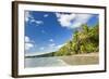 Beach, Cape Tribulation, Daintree National Park, Queensland, Australia-Peter Adams-Framed Photographic Print