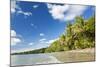 Beach, Cape Tribulation, Daintree National Park, Queensland, Australia-Peter Adams-Mounted Photographic Print