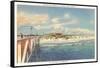 Beach, Casino, Pensacola, Florida-null-Framed Stretched Canvas