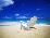 Beach Chair on Empty Beach-Randy Faris-Stretched Canvas