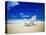 Beach Chair on Empty Beach-Randy Faris-Stretched Canvas