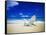 Beach Chair on Empty Beach-Randy Faris-Framed Stretched Canvas