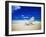 Beach Chair on Empty Beach-Randy Faris-Framed Premium Photographic Print