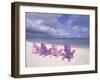 Beach Chairs and Ocean, U.S. Virgin Islands-Bill Bachmann-Framed Premium Photographic Print