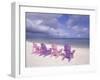 Beach Chairs and Ocean, U.S. Virgin Islands-Bill Bachmann-Framed Premium Photographic Print