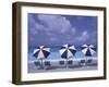 Beach Chairs and Ocean, U.S. Virgin Islands-Bill Bachmann-Framed Premium Photographic Print