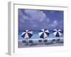 Beach Chairs and Ocean, U.S. Virgin Islands-Bill Bachmann-Framed Premium Photographic Print