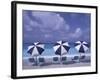 Beach Chairs and Ocean, U.S. Virgin Islands-Bill Bachmann-Framed Photographic Print