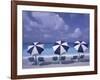 Beach Chairs and Ocean, U.S. Virgin Islands-Bill Bachmann-Framed Photographic Print