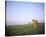 Beach chairs at Gruener Strand, Pellworm, Schleswig-Holstein, Germany-null-Stretched Canvas