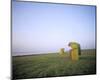 Beach chairs at Gruener Strand, Pellworm, Schleswig-Holstein, Germany-null-Mounted Art Print