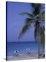 Beach Chairs, Caribbean Palms-Bill Bachmann-Stretched Canvas