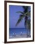 Beach Chairs, Caribbean Palms-Bill Bachmann-Framed Photographic Print