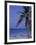 Beach Chairs, Caribbean Palms-Bill Bachmann-Framed Photographic Print