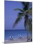 Beach Chairs, Caribbean Palms-Bill Bachmann-Mounted Photographic Print