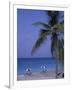 Beach Chairs, Caribbean Palms-Bill Bachmann-Framed Photographic Print