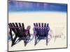 Beach Chairs, Curacao, Caribbean-Michele Westmorland-Mounted Photographic Print