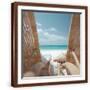 Brown Frame