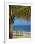 Beach Chairs on Grand Anse Beach, Grenada, Windward Islands, Caribbean-Michael DeFreitas-Framed Photographic Print