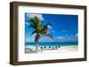 Beach Chairs under a Palm Tree-Vitaliy Pakhnyushchyy-Framed Photographic Print