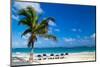 Beach Chairs under a Palm Tree-Vitaliy Pakhnyushchyy-Mounted Photographic Print