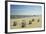 Beach Chairs, Usedom, Baltic Sea, Mecklenburg-Vorpommern, Germany, Europe-Jochen Schlenker-Framed Photographic Print