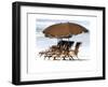 Beach Chairs V-Karen Williams-Framed Giclee Print