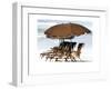 Beach Chairs V-Karen Williams-Framed Giclee Print