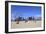 Beach, Coney Island, Brooklyn, New York City, United States of America, North America-Wendy Connett-Framed Photographic Print