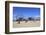 Beach, Coney Island, Brooklyn, New York City, United States of America, North America-Wendy Connett-Framed Photographic Print