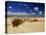 Beach, Cote d'Argent, Gironde, Aquitaine, France-David Hughes-Stretched Canvas