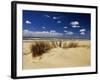 Beach, Cote d'Argent, Gironde, Aquitaine, France-David Hughes-Framed Photographic Print