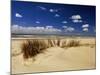 Beach, Cote d'Argent, Gironde, Aquitaine, France-David Hughes-Mounted Photographic Print