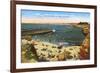 Beach, Cove, La Jolla, California-null-Framed Premium Giclee Print