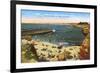 Beach, Cove, La Jolla, California-null-Framed Premium Giclee Print