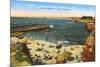 Beach, Cove, La Jolla, California-null-Mounted Premium Giclee Print