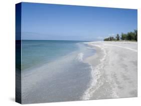 Beach Covered in Shells, Captiva Island, Gulf Coast, Florida, United States of America-Robert Harding-Stretched Canvas