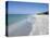 Beach Covered in Shells, Captiva Island, Gulf Coast, Florida, United States of America-Robert Harding-Stretched Canvas