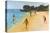 Beach Cricket-Victor Collector-Stretched Canvas